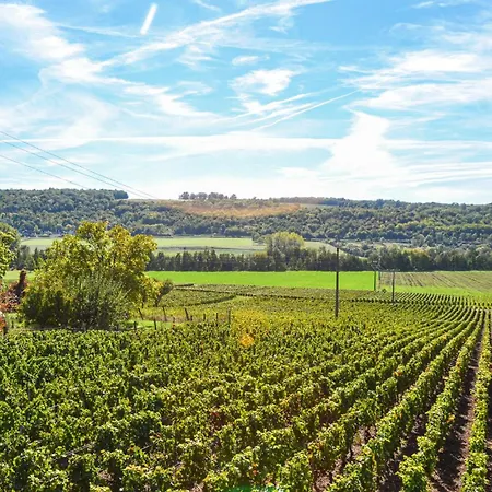 Beautiful In With Wifi *